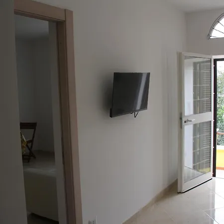 Sunflower's Apartment *